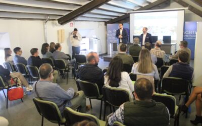 Jaén impulsa el oleoturismo con un proyecto financiado por fondos europeos para fortalecer la competitividad y visibilidad del sector del aceite de oliva.